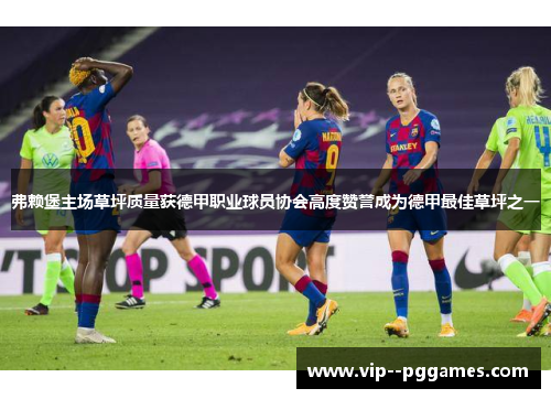 弗赖堡主场草坪质量获德甲职业球员协会高度赞誉成为德甲最佳草坪之一 弗赖堡主场草坪质量获德甲职业球员协会高度赞誉成为德甲最佳草坪之一